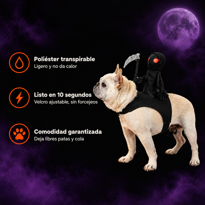 PawPhantom