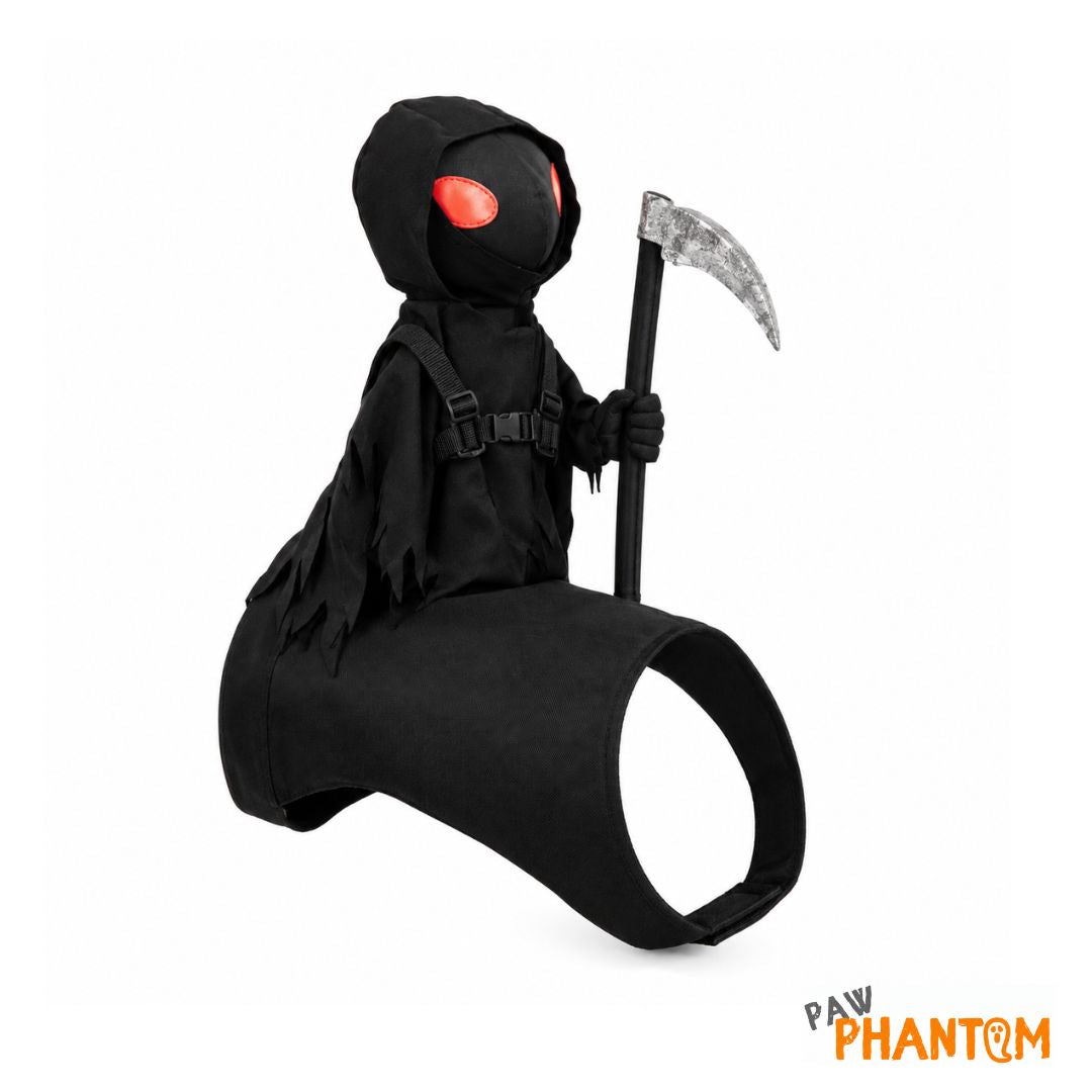 PawPhantom